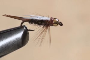 Prince Nymph