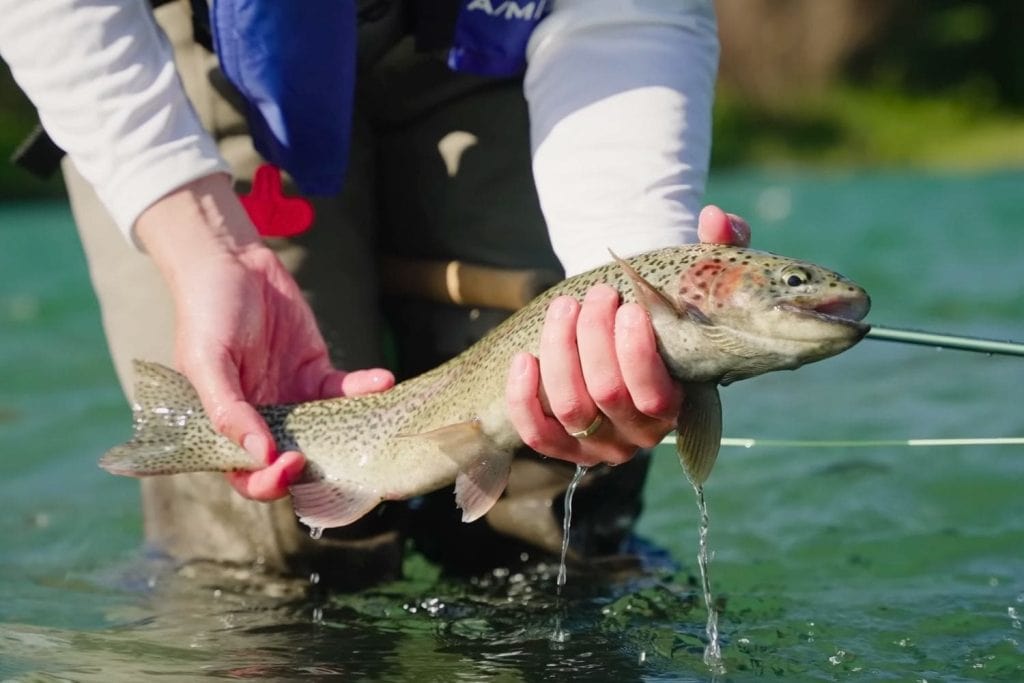 Habitat Conservation for Fly Fishing Enthusiasts