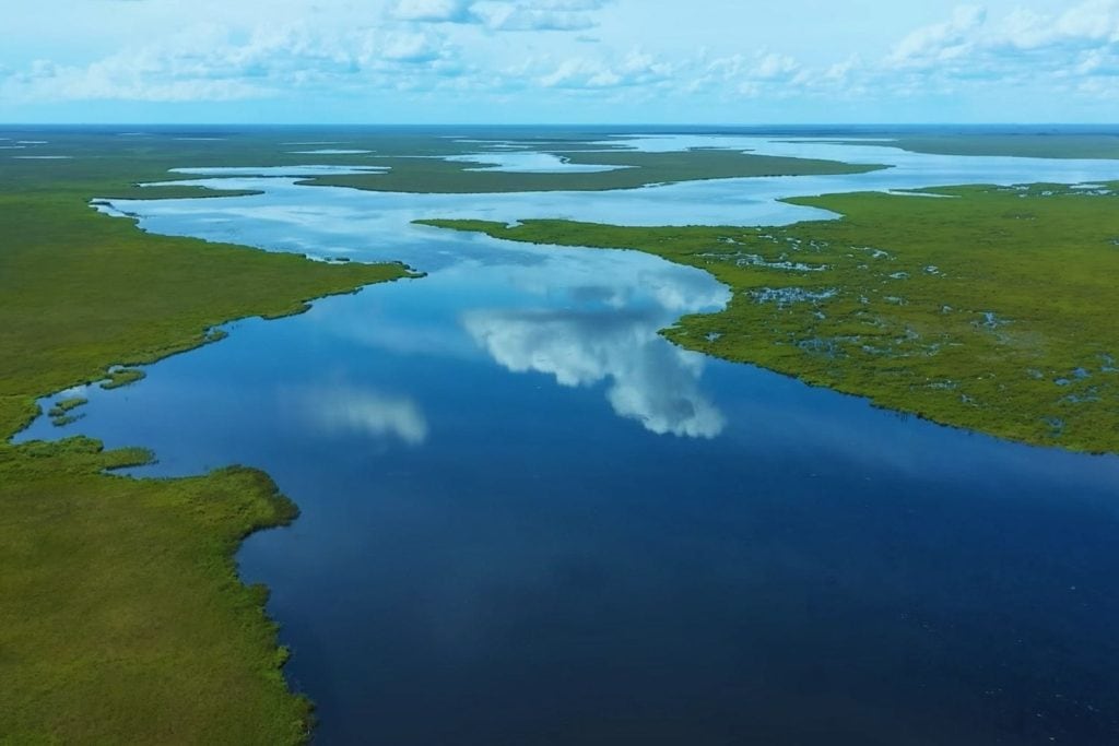 Wetland Conservation